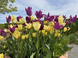 EHS coach trip 2026: RHS Hyde Hall