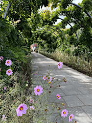 EHS coach trip 2025: RHS Wisley