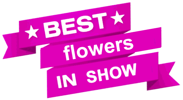 best in show flowers