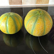 Barbara Betterton - melons grown in greenhouse at home
