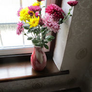 John Gay - the chrysanthemums flowered at last, in October. In a vase will last 10 - 14 days.