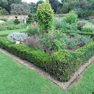 Chris Groom - Eastcote House Gardens