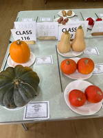EHS Autumn Show 2026