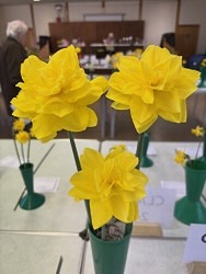 daffodils