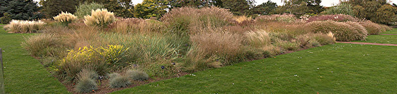 grass garden, RBG Kew