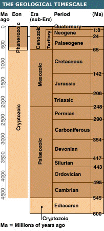 the geological timescale