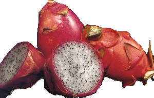 pitahaya fruit
